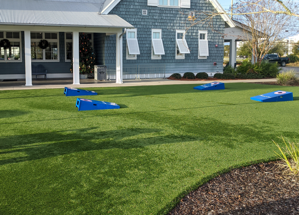 Artificial Grass Yard