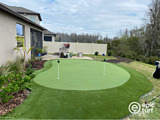 backyard putting green