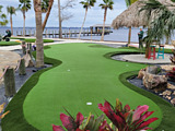 synthetic turf putting green with decorated with palm trees and greenery