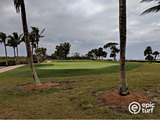 private putting green using artificial grass