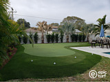 backyard golf green